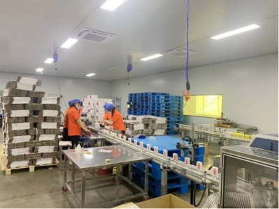 鐵富鎮&ldquo;僵尸企業&rdquo; 活起來